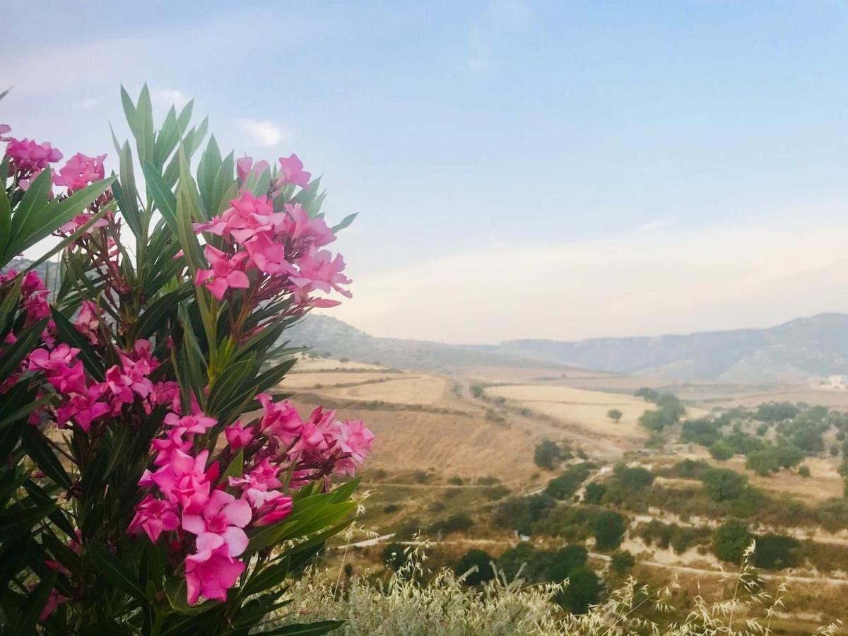 Panoramic Holidays Пея Екстериор снимка